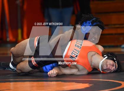 Thumbnail 2 in Baddest Cat On The Mat Tournament photogallery.