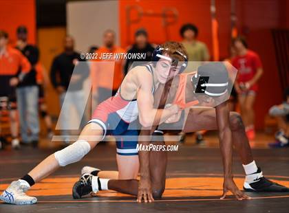 Thumbnail 1 in Baddest Cat On The Mat Tournament photogallery.