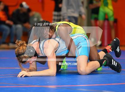 Thumbnail 2 in Baddest Cat On The Mat Tournament photogallery.