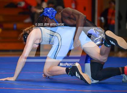 Thumbnail 2 in Baddest Cat On The Mat Tournament photogallery.