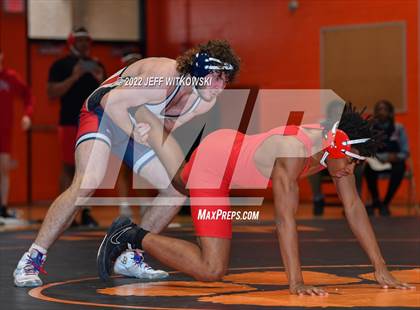 Thumbnail 3 in Baddest Cat On The Mat Tournament photogallery.