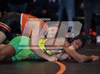 Thumbnail 1 in Baddest Cat On The Mat Tournament photogallery.