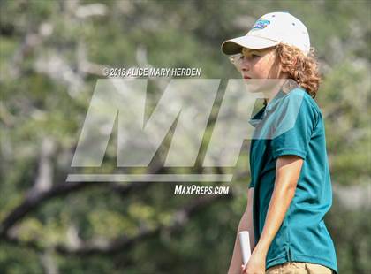 Thumbnail 2 in Weeki Wachee vs Central photogallery.