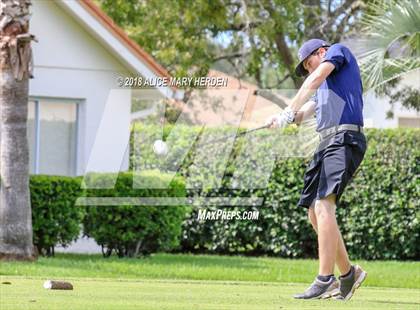 Thumbnail 3 in Weeki Wachee vs Central photogallery.