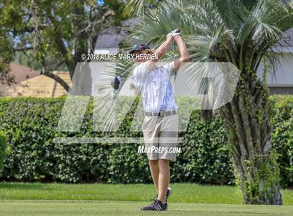 Thumbnail 3 in Weeki Wachee vs Central photogallery.