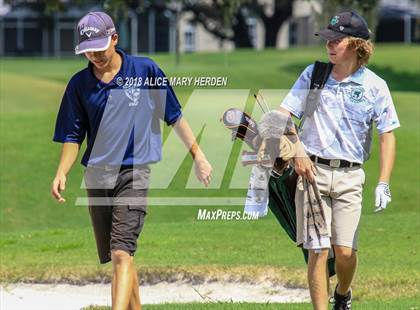 Thumbnail 1 in Weeki Wachee vs Central photogallery.