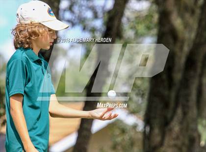 Thumbnail 3 in Weeki Wachee vs Central photogallery.