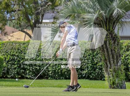 Thumbnail 2 in Weeki Wachee vs Central photogallery.