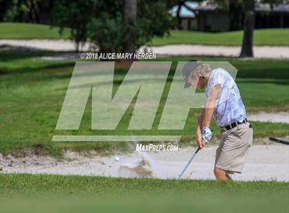 Thumbnail 3 in Weeki Wachee vs Central photogallery.