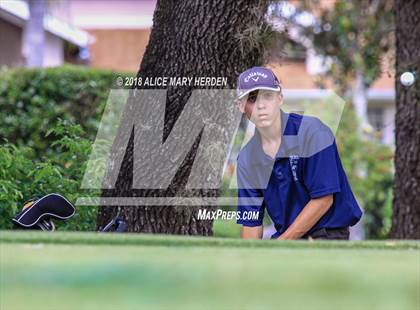 Thumbnail 2 in Weeki Wachee vs Central photogallery.