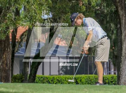 Thumbnail 3 in Weeki Wachee vs Central photogallery.