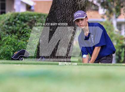 Thumbnail 1 in Weeki Wachee vs Central photogallery.