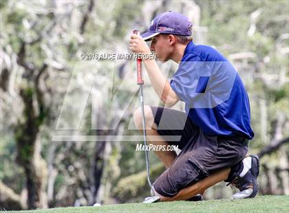 Thumbnail 1 in Weeki Wachee vs Central photogallery.