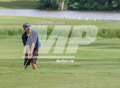 Thumbnail 1 in Weeki Wachee vs Central photogallery.