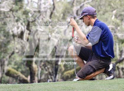 Thumbnail 2 in Weeki Wachee vs Central photogallery.