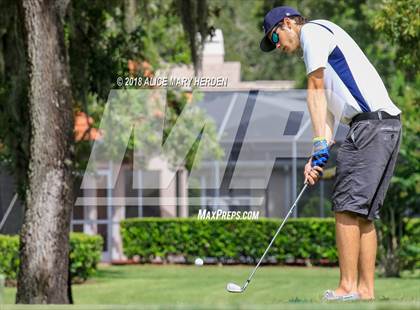 Thumbnail 1 in Weeki Wachee vs Central photogallery.
