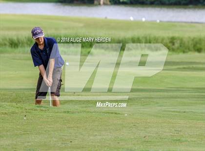 Thumbnail 2 in Weeki Wachee vs Central photogallery.