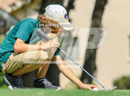Thumbnail 1 in Weeki Wachee vs Central photogallery.