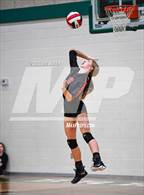 Photo from the gallery "Schulenburg vs Stockdale  (UIL 2A Region IV Semifinal)"