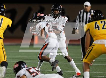 Thumbnail 1 in Antioch @ Pittsburg (Big Little Game) photogallery.