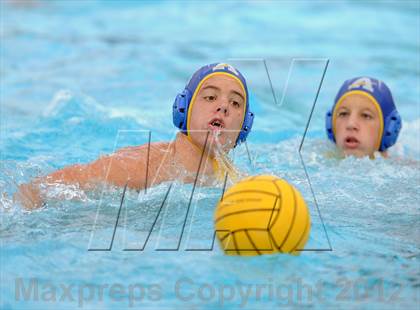 Thumbnail 2 in Agoura vs Santa Barbara (CIF SS D2 Final) photogallery.