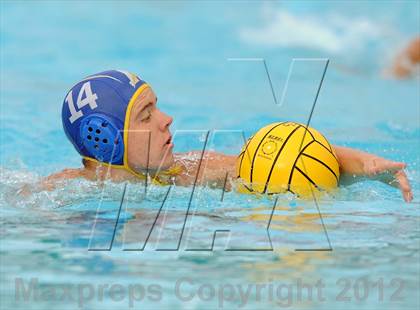 Thumbnail 2 in Agoura vs Santa Barbara (CIF SS D2 Final) photogallery.
