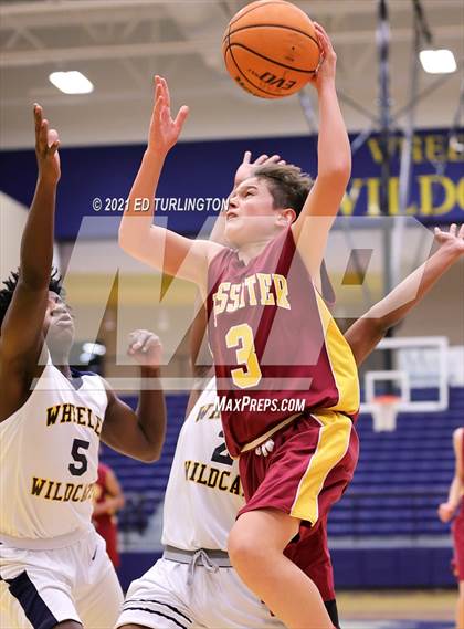 Thumbnail 3 in Lassiter @ Wheeler photogallery.