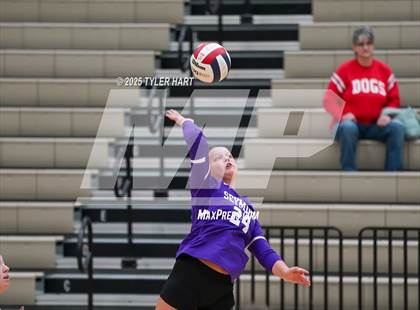 Thumbnail 2 in Seymour vs. Crown Point (Avon Classic) photogallery.
