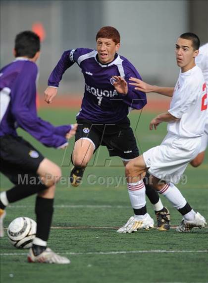 Thumbnail 1 in Sequoia @ Burlingame photogallery.