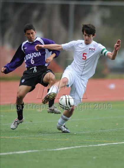 Thumbnail 3 in Sequoia @ Burlingame photogallery.