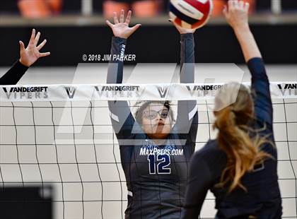 Thumbnail 1 in Hendrickson @ Vandegrift photogallery.