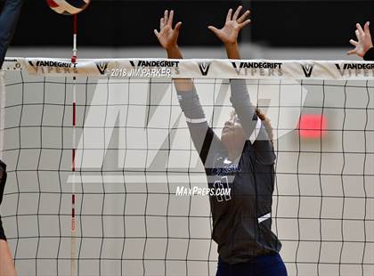 Thumbnail 1 in Hendrickson @ Vandegrift photogallery.