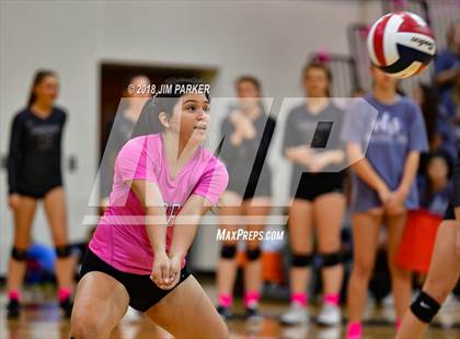 Thumbnail 2 in Hendrickson @ Vandegrift photogallery.