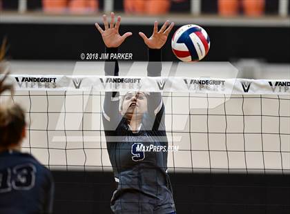 Thumbnail 1 in Hendrickson @ Vandegrift photogallery.