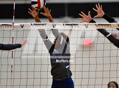 Thumbnail 2 in Hendrickson @ Vandegrift photogallery.