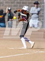 Photo from the gallery "Niwot @ Golden"