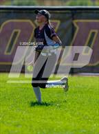Photo from the gallery "Niwot @ Golden"