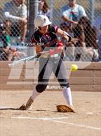 Photo from the gallery "Niwot @ Golden"