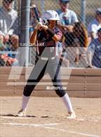 Photo from the gallery "Niwot @ Golden"