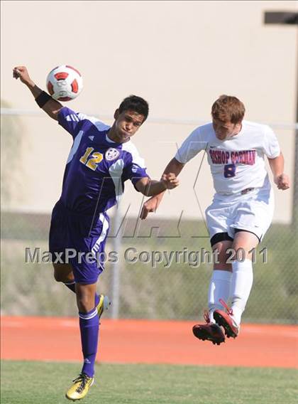 Thumbnail 1 in Durango @ Bishop Gorman photogallery.