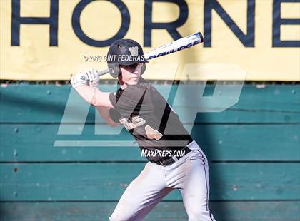 Thumbnail 3 in Windsor vs. Alameda (CIF NCS D2 Quarterfinal) photogallery.