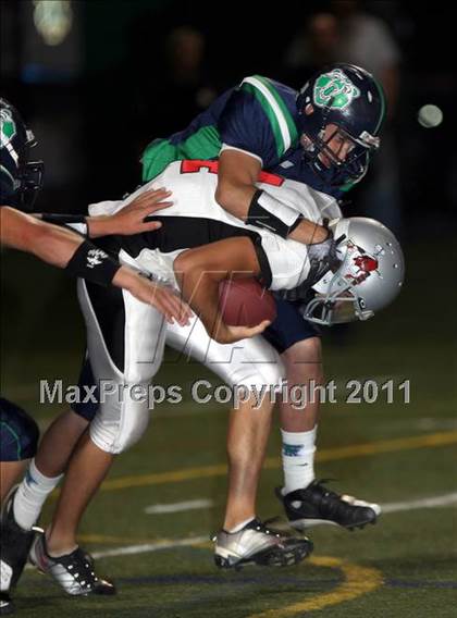 Thumbnail 3 in Loveland @ ThunderRidge photogallery.