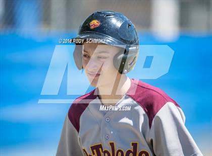 Thumbnail 1 in de Toledo vs. Temecula Prep (Lions Tournament) photogallery.