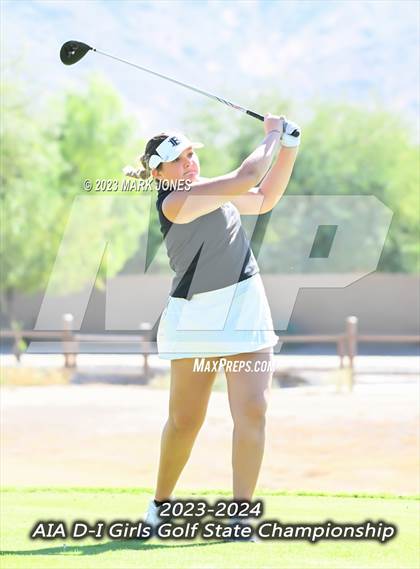 Thumbnail 2 in AIA DI Girls State Championships  photogallery.