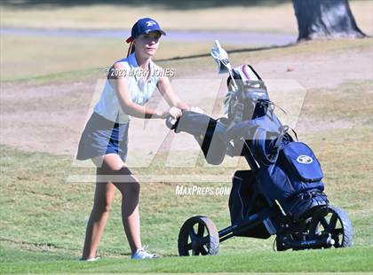 Thumbnail 1 in AIA DI Girls State Championships  photogallery.