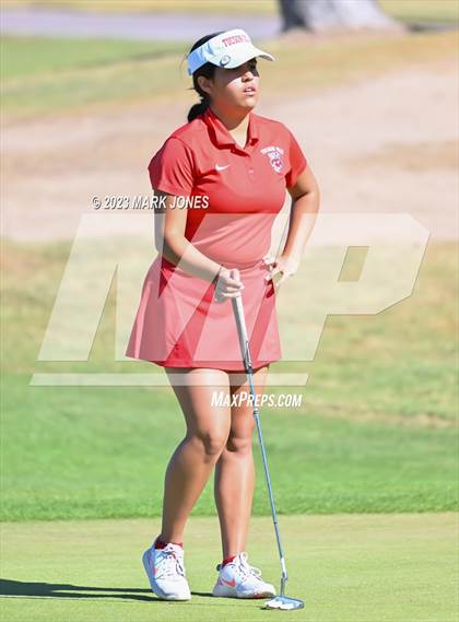 Thumbnail 3 in AIA DI Girls State Championships  photogallery.