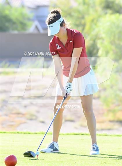 Thumbnail 1 in AIA DI Girls State Championships  photogallery.