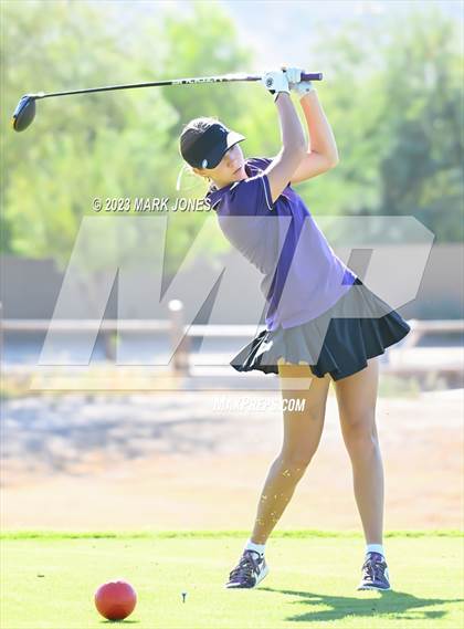 Thumbnail 3 in AIA DI Girls State Championships  photogallery.