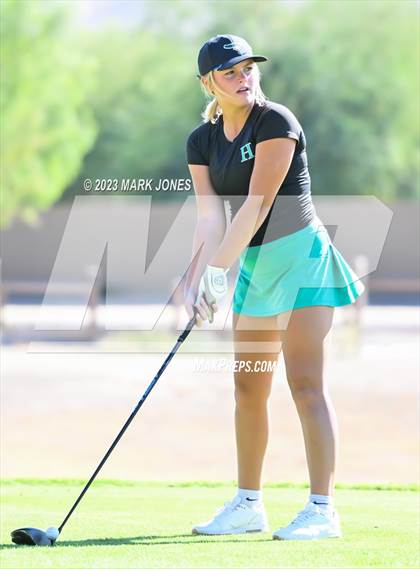 Thumbnail 3 in AIA DI Girls State Championships  photogallery.