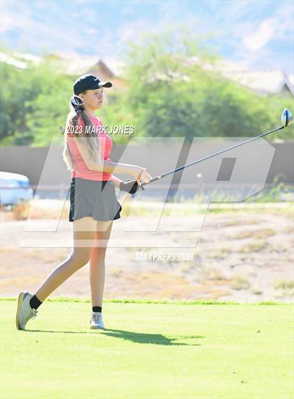 Thumbnail 3 in AIA DI Girls State Championships  photogallery.